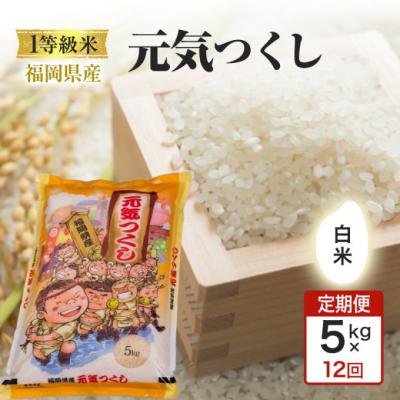 ふるさと納税 小郡市 定期便12回 1等級米 1粒からこだわる福岡県産米 元気つくし 白米5kg[No5354-0975]