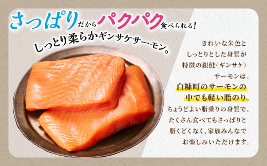ギンサケサーモン【1.6kg】 小分け 下処理不要 絶品の「塩締め」レシピ ふるさと納税 海鮮 サーモン 鮭 魚 銀鮭 刺身 生食用 さけ サケ ふるさと ランキング 人気 魚介類 魚介 北海道 白糠