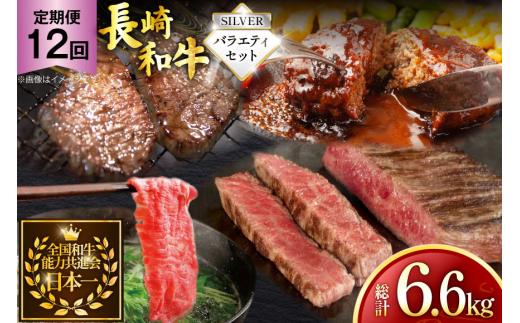 牛肉 和牛 定期便 長崎和牛 バラエティセット「シルバー」 12回 総計6.6kg [黒牛 長崎県 東彼杵町 hs42bag750082] 牛肉 バラ モモ もも 切り落とし牛肉 バラ モモ もも 切り落とし