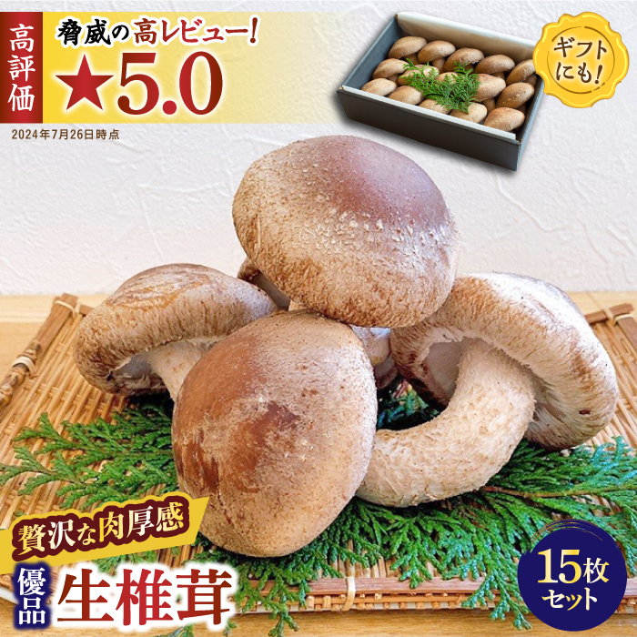 肉厚 生椎茸 【優品】15枚セット / 生しいたけ 生シイタケ きのこ キノコ 茸 / 南島原市 / サンエスファーム [SBX003]