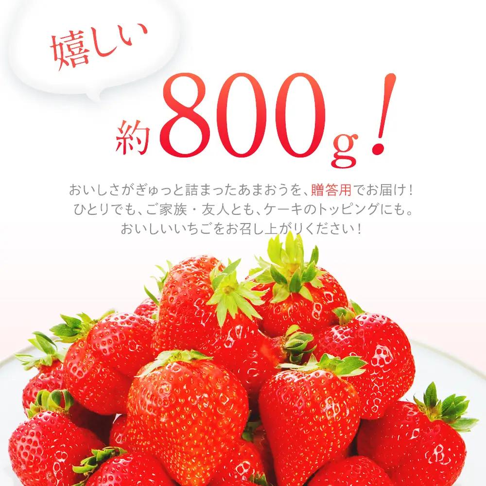 先行予約いちご あまおう 合計約800g 約400g×2パック 【2027年1月下旬～2月順次発送】 あまおう