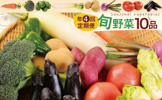 【年４回お届け】レシピ付き！ 年４回春夏秋冬の旬野菜１０品お届け定期便