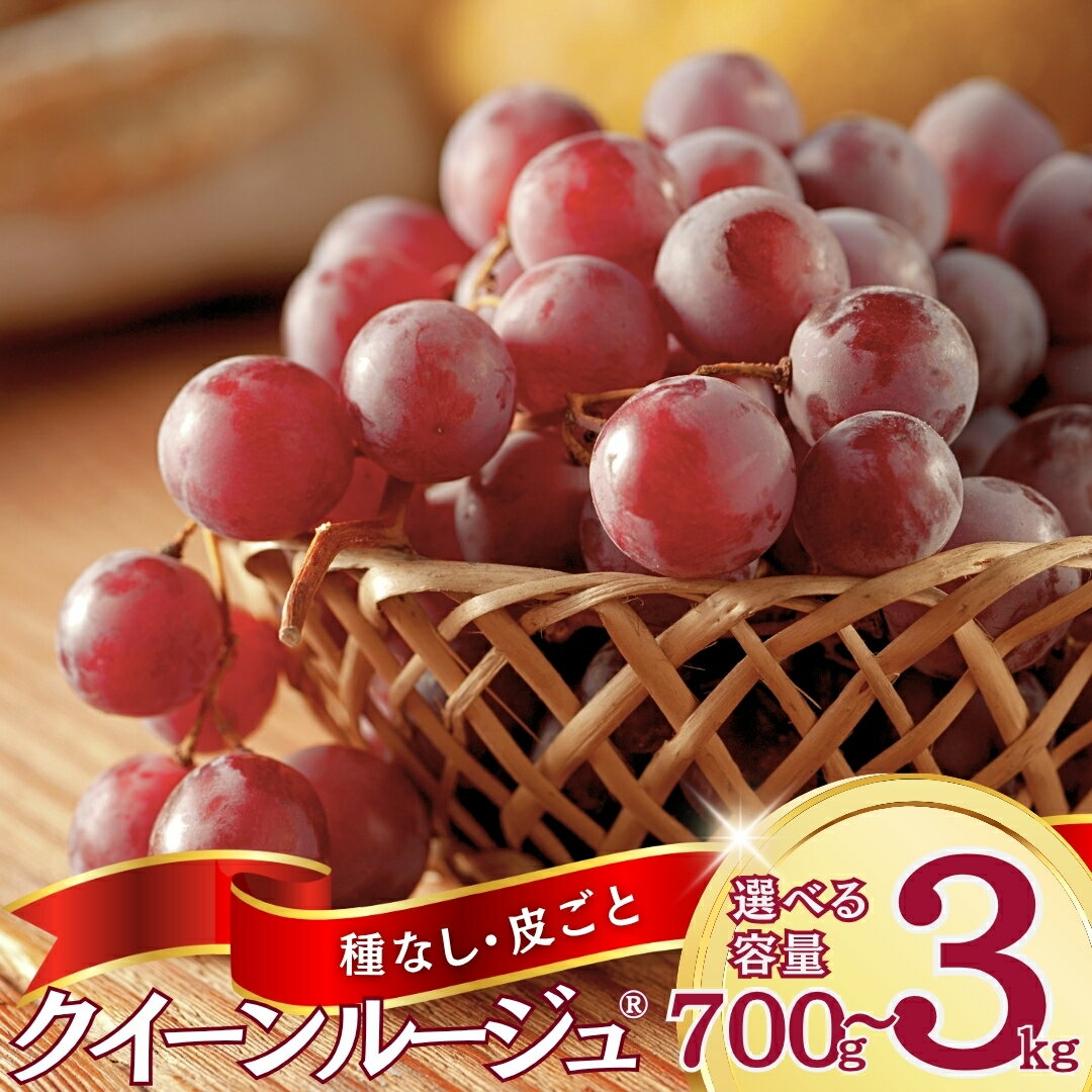 【ふるさと納税】【2025年先行予約】ぶどう クイーンルージュR約700g(1房)/約1kg(2房)/約1.5kg(3房)/約2kg(4房~5房)/約3kg(5房~6房)|葡萄 果物 フルーツ 産地直送 種無し 皮ごと シャインマスカットとユニコーンから誕生 信州 長野 千曲市 送料無料