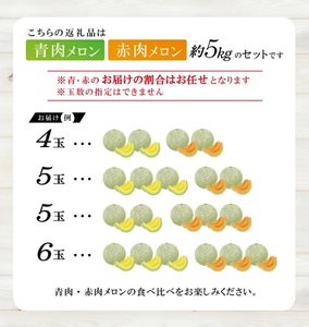 SB0910　美味しいメロンの食べ比べ 「秀品 青肉メロン＆赤肉メロン」　約5kg(4～6玉入)