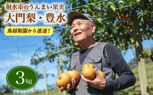 梨 射水の鳥越梨園から直送！【大門梨（豊水）】3kg  果物 フルーツ なし 北陸 富山 ※2025年9月上旬～2025年9月中旬頃に順次発送いたします