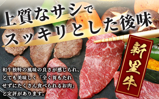 石垣島産 黒毛和牛 新里牛 赤身系焼き肉用(300g×1)【 牛肉 肉 赤身 ウデ モモ 焼肉 和牛 バーベキュー BBQ 石垣 石垣島 沖縄 】SZ-20