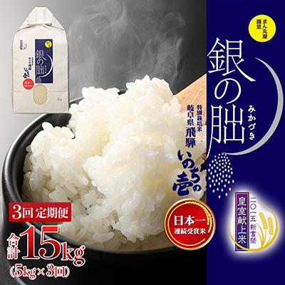 ふるさと納税 下呂市 【2025年産米】【定期便】 銀の朏 5kg×3回 皇室献上米 化学肥料不使用【13-8】