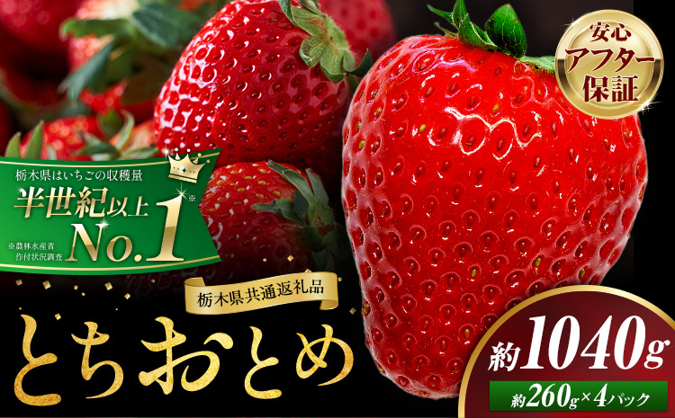 栃木 いちご とちおとめ 4パック 1040g 《1月中旬-5月上旬頃出荷》 栃木県 野木町 いちご イチゴ 苺 とちおとめ 果物 フルーツ ジューシー 【配送不可地域】沖縄・離島