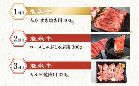 飛騨牛×飛米牛 全6回のブランド牛定期便 焼肉 すき焼き しゃぶしゃぶ 国産 ブランド牛 食べ比べ セット 牛肉 肉 和牛 すきやき お楽しみ 6回 毎月 冷凍でお届け 飛騨市 [Q2856]