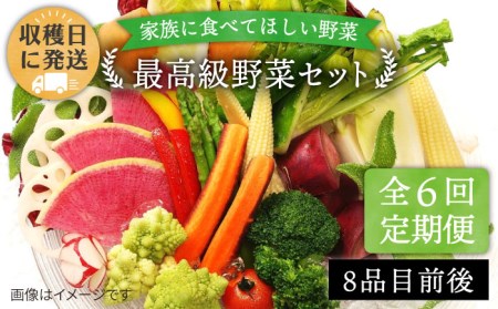 【全6回定期便】【栽培期間中農薬・化学肥料不使用】こだわり 野菜 セット （8品前後） 《糸島》【オーガニックナガミツファーム】 [AGE017] 野菜セット 野菜 やさい サラダ 詰め合わせ トマト とまと