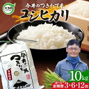 【ふるさと納税】 米 定期便 コシヒカリ 10kg 選べる回数 3ヶ月 / 6ヶ月 12ヶ月 《 令和6年産 新米 》【今井のつきたて米】 福島県 大玉村 ｜ 定期 3回 6回 12回 精米 白米 こめ こしひかり ごはん 30kg 60kg 120kg コメ 送料無料 今井農園 ｜ OT08-009-R6