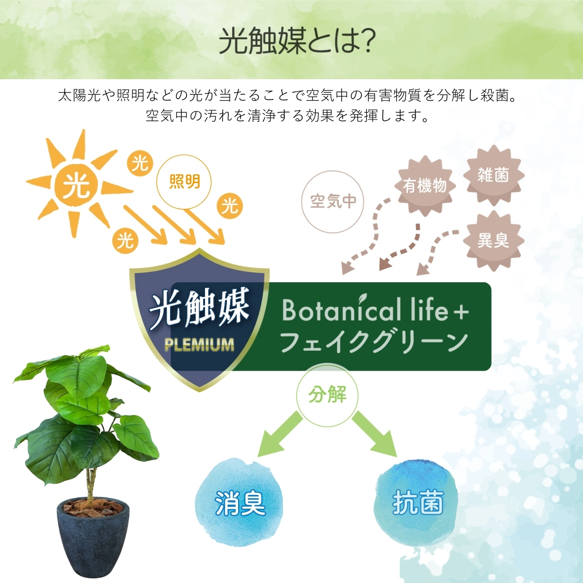 フェイクグリーン Botanical life+ Dシリーズ ウンベラータ 70cm 光触媒加工 鉢付き （鉢： 石造り風 ダークロック） インテリア 抗菌 消臭 愛知県 豊橋市 送料無料 41000