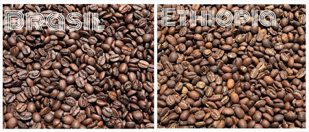 スペシャルティコーヒー 飲み比べセット【ドリップパック】 6種×2（１２個）【 コーヒー 神奈川県 小田原市 】