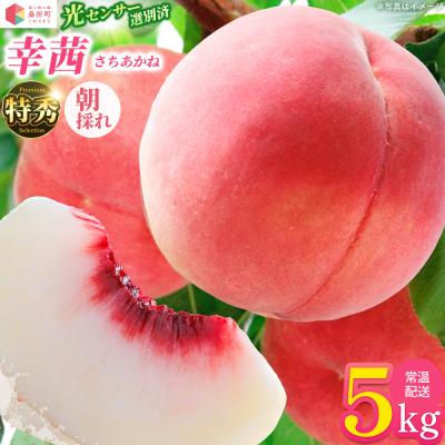 ふるさと納税 桑折町 もも【幸茜・2027年産先行受付】特秀　5kg　桑折町産　JAふくしま未来　桃