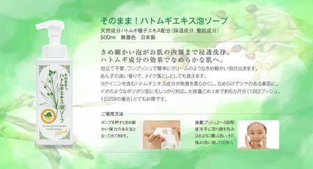 洗顔 ハトムギエキス泡ソープ詰替え 420ml×1個 [BRDH002]