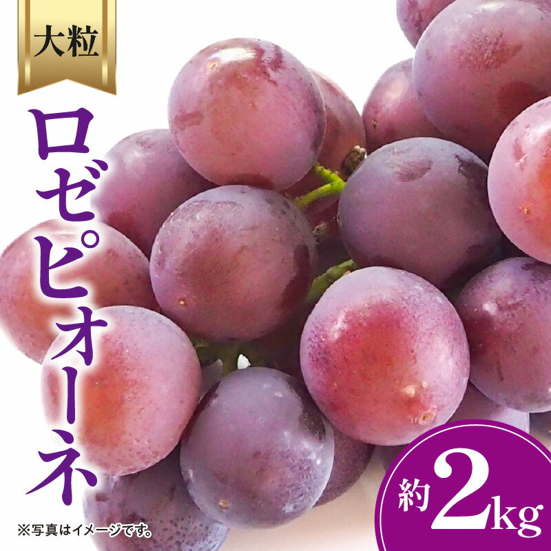 【ふるさと納税】【先行予約】【配送不可地域：北海道・沖縄県・離島】 ロゼピオーネ 約2kg (3〜6房) 大粒 濃厚 種なし ギフト 贈答用 赤い ピオーネ ぶどう フルーツ 果物 果実 食品 デザート 送料無料 産地直送 お取り寄せ お取り寄せグルメ 香川県 三豊市 2キロ