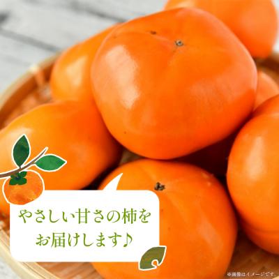 ふるさと納税 香南市 柿(カキ) 3kg 柳本果樹園の柿 yg-0014 |  | 02