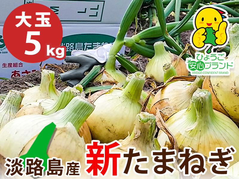 
【あさひサンファーム】【大玉５㎏】兵庫県認証★特別栽培★淡路島新たまねぎ
