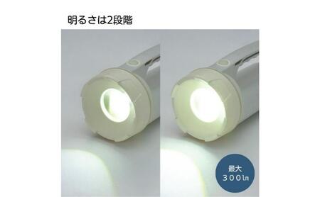 ホームコーディ　光が明るく広がるLED強力ライト イオンリテール 日用品