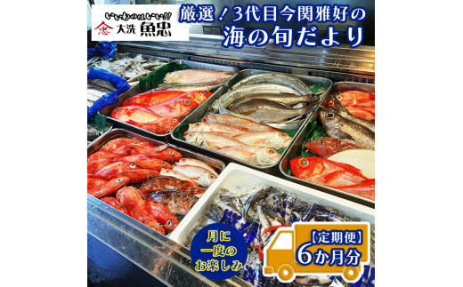 
定期便 6ヶ月 鮮魚店「魚忠」 厳選鮮魚セット 大洗 厳選 旬 魚 さかな
