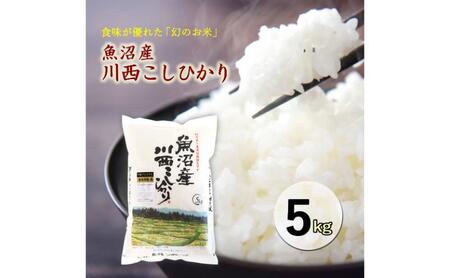 コシヒカリ 魚沼産川西 5kg 精米 コシヒカリ