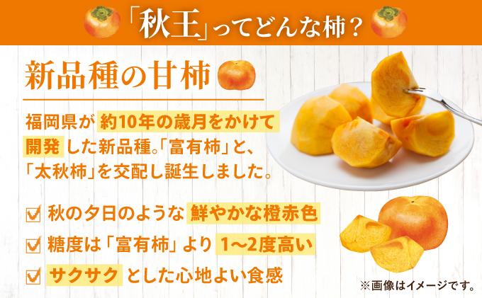 福岡より直送！種がほとんどない新ブランド 柿 秋王 3玉（2026年10月以降発送）| 甘柿 太秋柿 富有柿フルーツ くだもの 果物 送料無料 福岡県 那珂川市