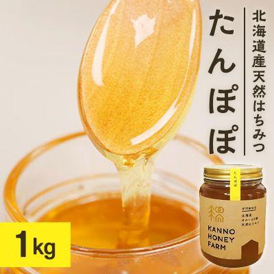 ふるさと納税 訓子府町 北海道産天然はちみつ　たんぽぽ　1kg