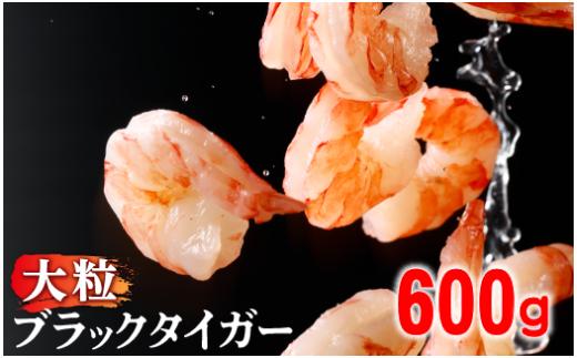 4月発送 【訳あり】えび ブラックタイガー 冷凍 むきえび 600g下処理済み 2026年4月発送 | えび エビ 海老 チャック付き 下処理不要 大型 2025 2026 登別市