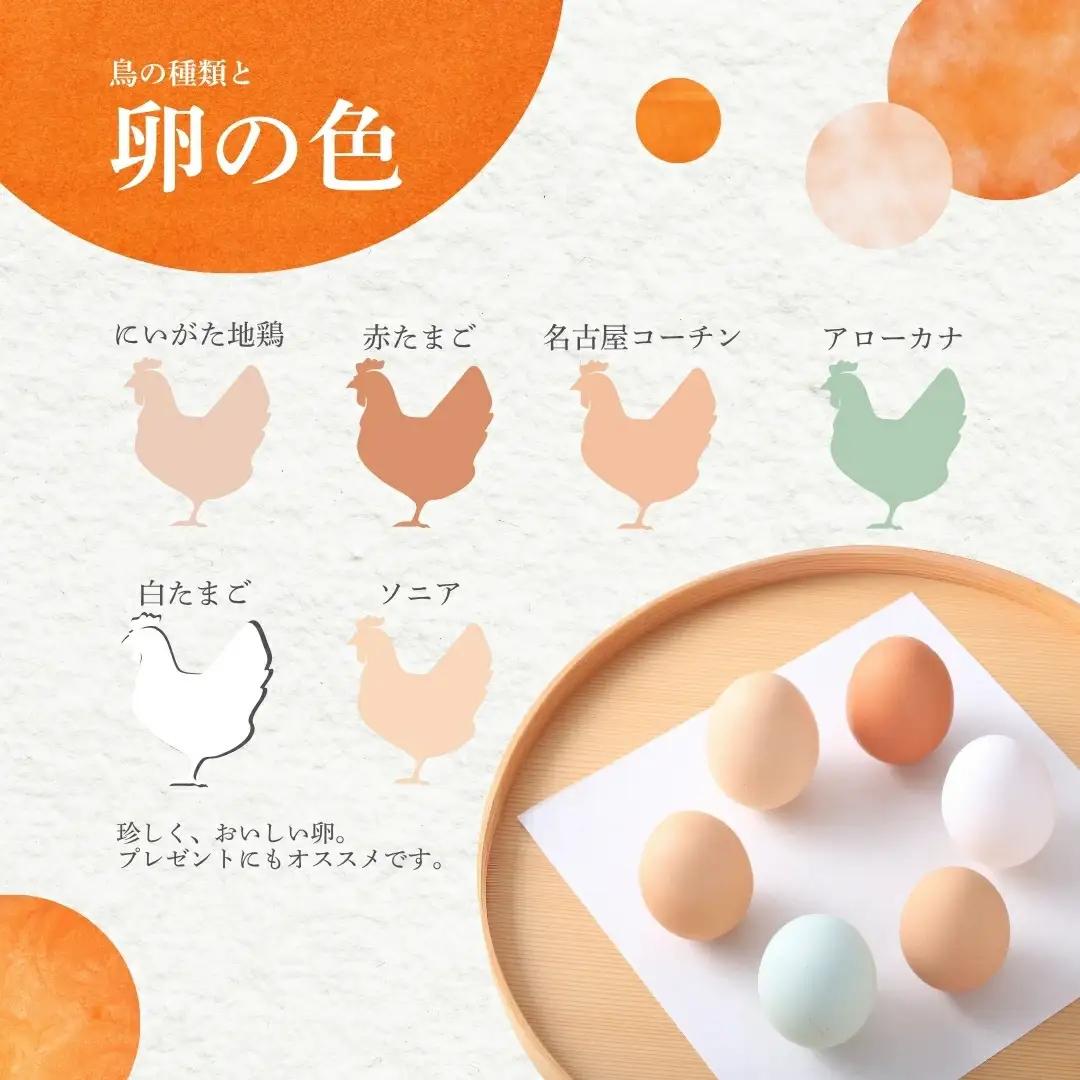 卵 産みたて 6色たまご詰合せ 30個 | 新潟県 たまご