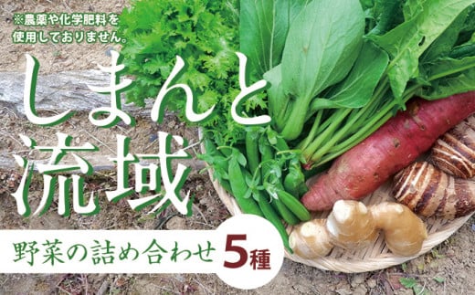 しまんと流域野菜つめあわせ（5種類）【栽培期間中、農薬・化学肥料不使用】 Fkh-A07 やさい 野菜 国産野菜 野菜セット 野菜詰め合わせ 季節 新鮮フレッシュ 旬 無農薬 産地直送