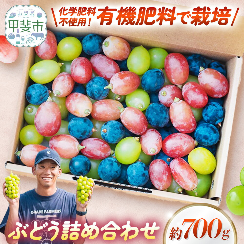 【ふるさと納税】旬の彩り 粒ぶどう 詰め合わせ 700g 葡萄 フルーツ 果物 山梨 ぶどう 高級 フルーツ ギフト フルーツ シャインマスカット サンシャインレッド ブドウ 葡萄 ギフト 山梨県産 ぶどう 甲斐市 ブドウ かめざわ農園 山梨県甲斐市 DG-5