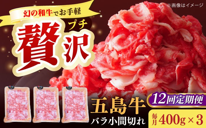 
                  【全12回定期便】【希少で上品なお肉をご家庭で！】五島牛 バラ 小間切れ 3パック（1.2kg）6～8人前 切り落とし【ごとう農業協同組合】 [RAT017]
                