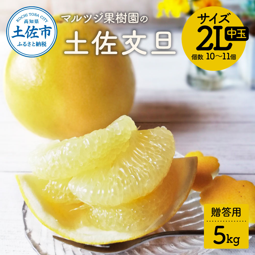 マルツジ果樹園の土佐文旦 贈答用(中玉) 約5kg 5キロ 2Lサイズ 10～11個入り ぶんたん ブンタン フルーツ 柑橘 みかん 果物 くだもの 柑橘類 デザート お取り寄せ 国産
