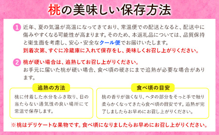 桃 もも【2025年先行予約】和歌山県産 紀の里の桃 【2ヶ月定期便】約2kg (6-8玉入り) 2回 お届け《6月中旬-8月中旬頃出荷》 桃 2025年 先行 桃 先行予約2025 もも2025 白