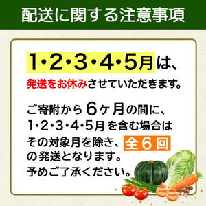 野菜 【6回定期便】野菜セット《先行予約》10種類前後 野菜 野菜 野菜