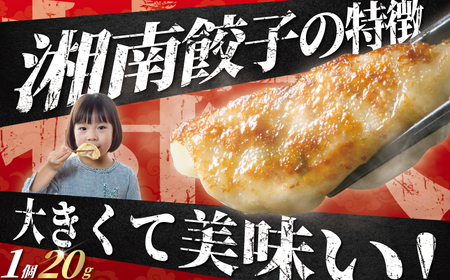 湘南生餃子 96個【餃子】