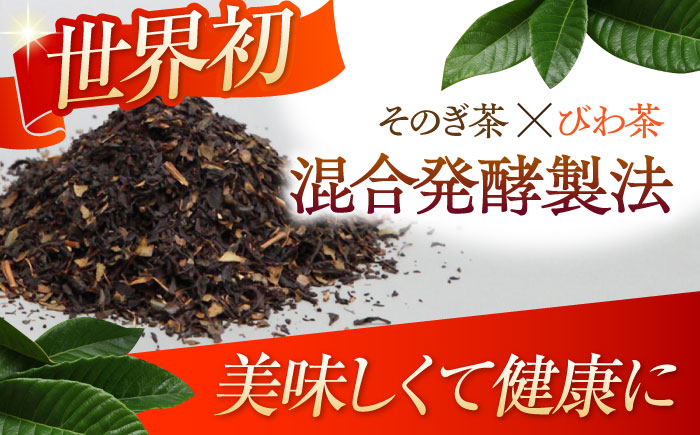 【3回定期便】 【世界が認めたふたつ星の味】長崎香茶びわ ペットボトル500ml×24本/茶 お茶 ペットボトル 東彼杵町/株式会社サンダイ [BDG003]