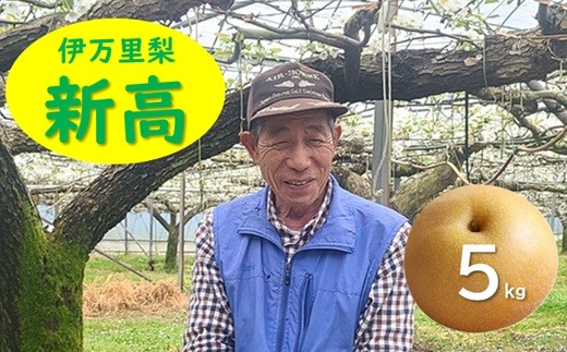 
                  稗田さんが育てた伊万里梨「新高」5㎏
                