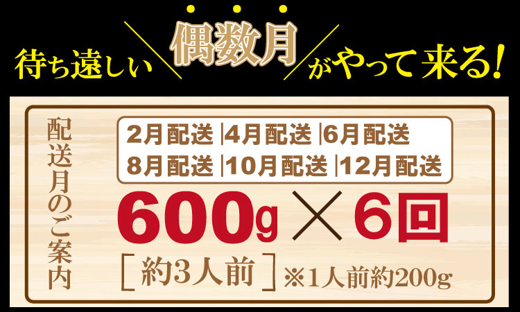 【定期便】 (年6回/隔月お届け) 佐賀牛ヒレステーキ（600g×6回）お肉の定期便・偶数月 フィレ肉