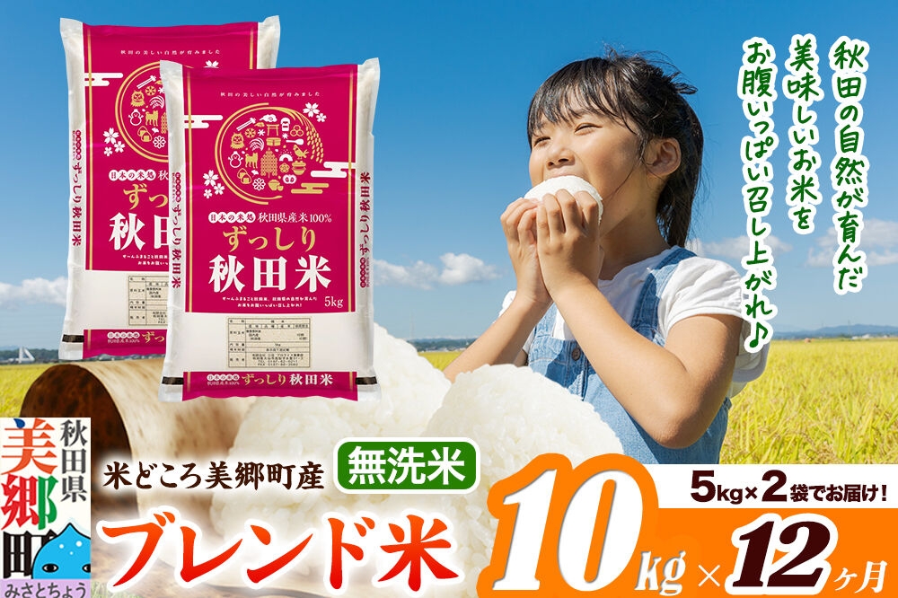 
                  米《定期便12ヶ月》ブレンド米【無洗米】精米 10kg（5kg×2袋）秋田県美郷町産 [5kg袋 お米 こめ ご飯 ごはん 米どころ 秋田県産 美郷町]
                