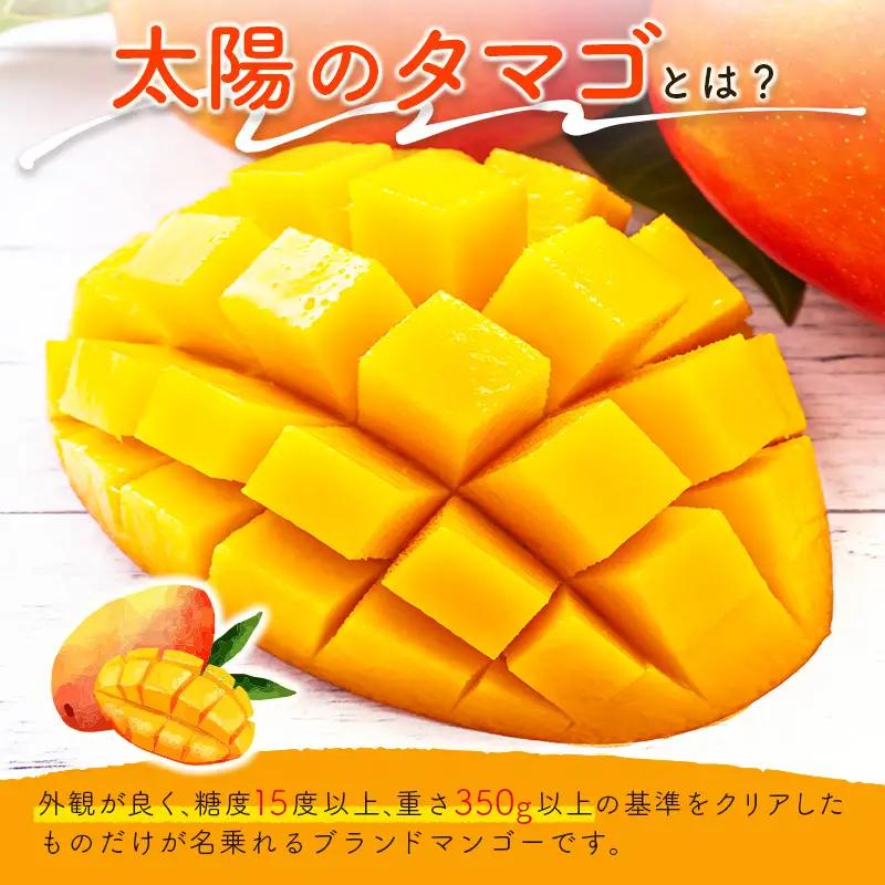 2027年出荷 宮崎 完熟マンゴー 太陽のタマゴ 3L×2玉 計900g以上 E168-27