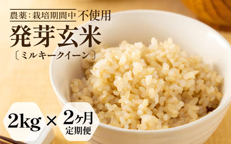 【期間限定】【2ヶ月連続お届け】【令和7年産】発芽玄米 特別栽培米 ミルキークイーン 2kg×2回（計4kg）発芽玄米 [C-2935]