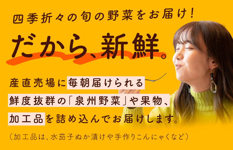 泉州野菜 定期便 全12回 15種類以上 詰め合わせ 国産 新鮮 冷蔵【毎月配送コース】 099Z189