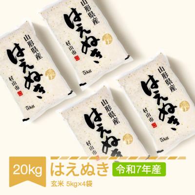 ふるさと納税 村山市 はえぬき　玄米20kg(5kg×4袋)