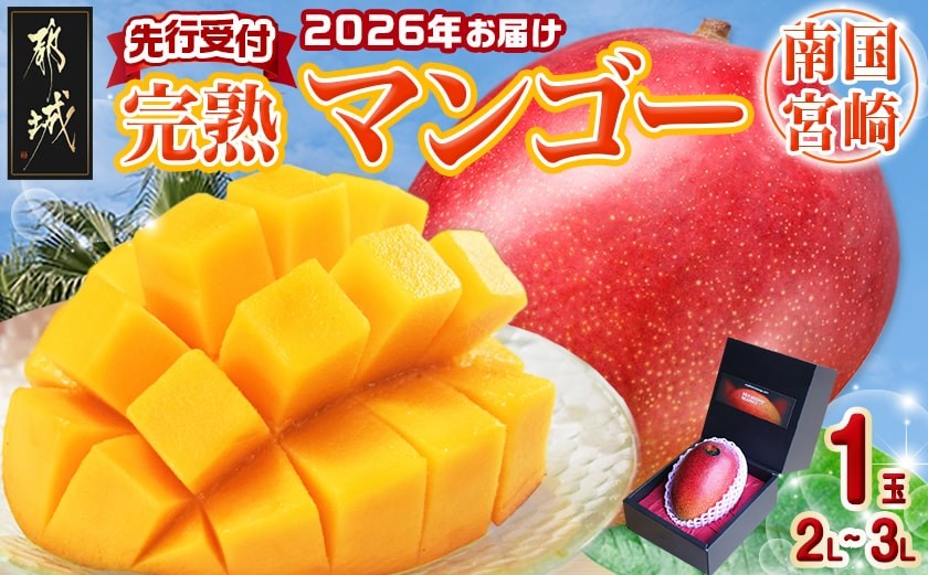 
【先行受付!】宮崎完熟マンゴー1玉(都城産)_MJ-3301_(都城市) 宮崎マンゴー A等級 1玉入り (2Lサイズ～3Lサイズ) 果物 フルーツ 化粧箱 宮崎県産(都城産)で産地直送 冷蔵
