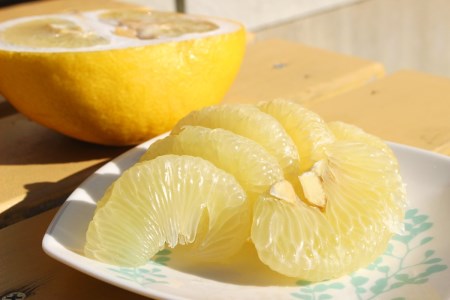 宿毛青果 宿毛産文旦 10kg 文旦