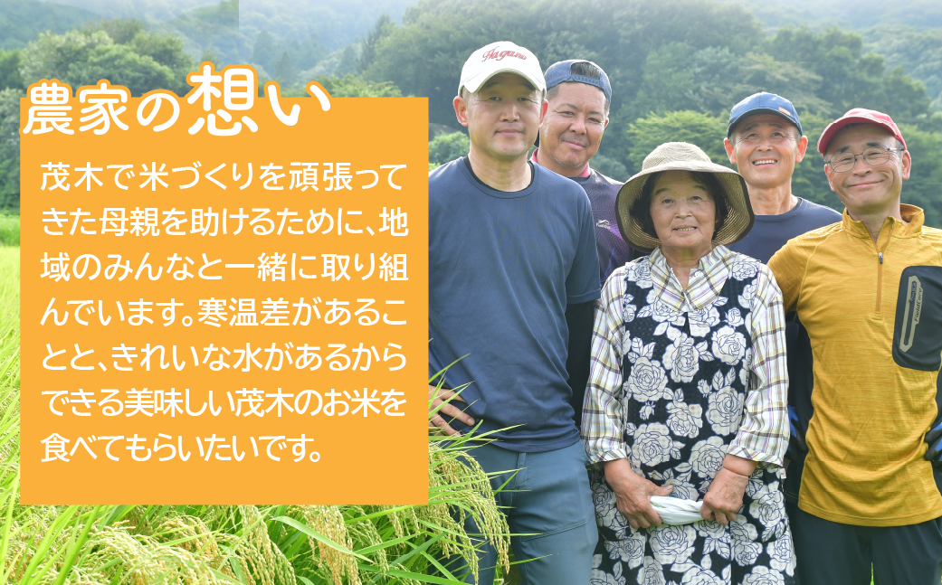 お米マイスター厳選!＜令和7年産＞茂木百騎米 精米 10kg（5kg×2袋） | コシヒカリ こしひかり おこめ 新米 令和7年産 9月発送 ライスパーラーかわかみ 栃木県 茂木町
