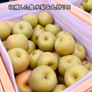 なしジュース 3本セット 720ml×3本 梨果汁100％ ストレートジュース 果汁100% 果汁飲料 梨 フルーツジュース ギフト 贈り物 ジュース 丸絞り