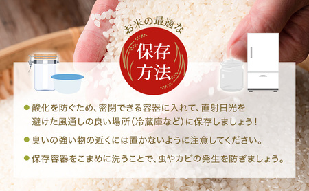 【令和8年産 先行受付】しきゆたか 白米 10kg《2027年1月発送》