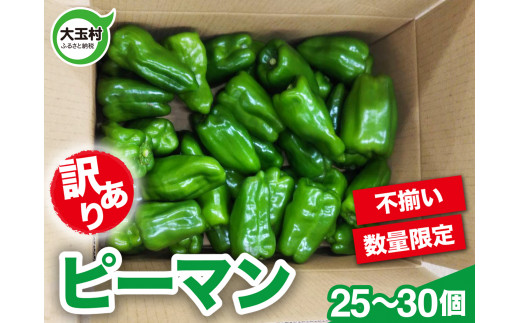 訳あり 野菜 不揃い ピーマン 25～30個 《数量限定》 新鮮 夏野菜 大玉村 もったいない野菜 ｜  SDGs 余剰野菜 フードロス 食品ロス ｜ om-pmwa-R6